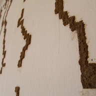Anything With Paint (detail)